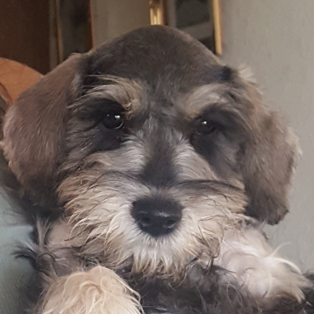 Meet your Posher, Crystal